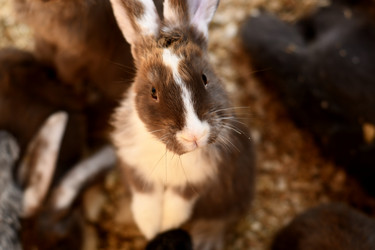 Similar image 21608647