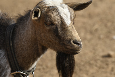 Similar image 21608648