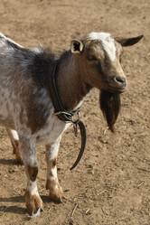 Similar image 21608649