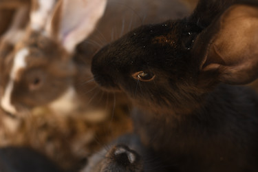 Similar image 21608650