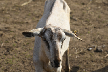 Similar image 21564132