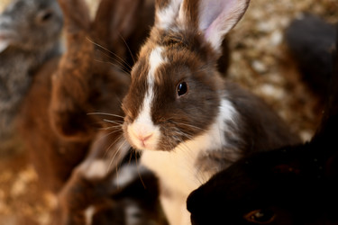 Similar image 21608651