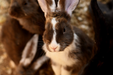 Similar image 21608652