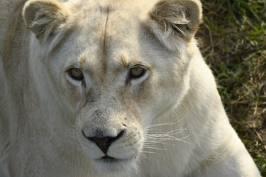 Similar image 21608653