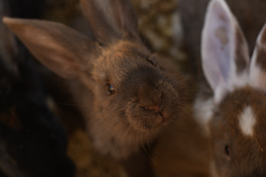 Similar image 21608655