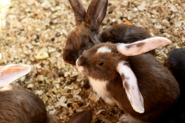 Similar image 21608656