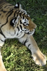 Similar image 21608658