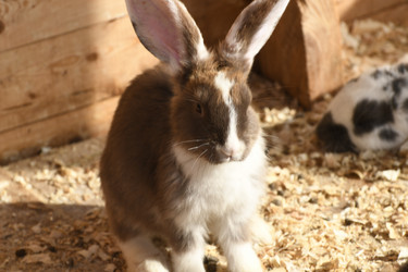 Similar image 21564106