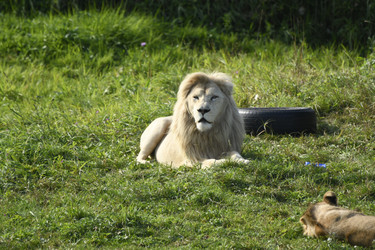 Similar image 21564107