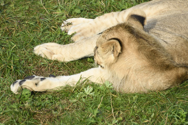 Similar image 21564109