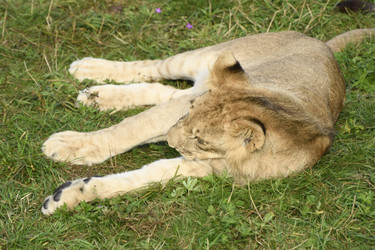 Similar image 21564111