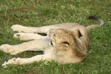 Similar image 21564112