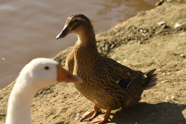 Similar image 21564115