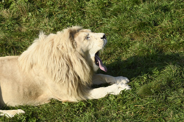 Similar image 21564119