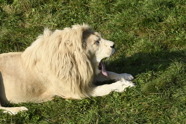 Similar image 21564120