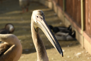 Similar image 21564121