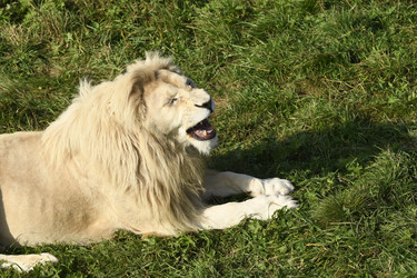 Similar image 21564124