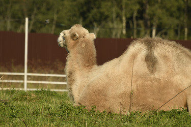 Similar image 21564133