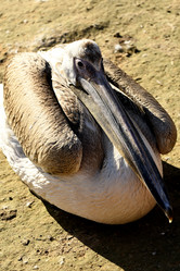 Similar image 21564135