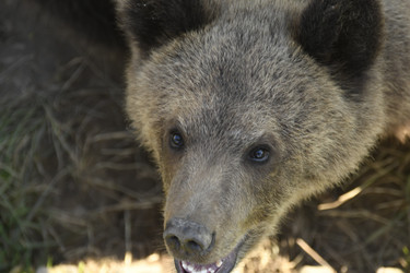 Similar image 21564136