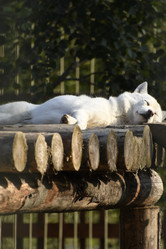 Similar image 21564138