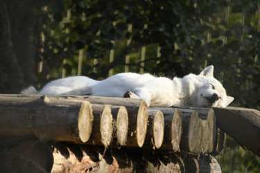 Similar image 21564139