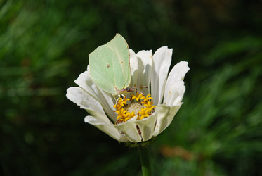 Similar image 21608660