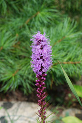 Similar image 21608661