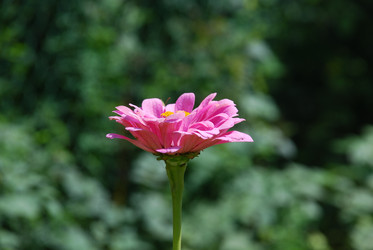 Similar image 21608663