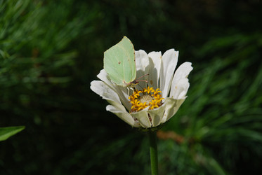 Similar image 21608665