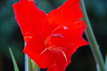 Similar image 21608667