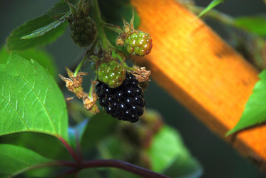 Similar image 21608668