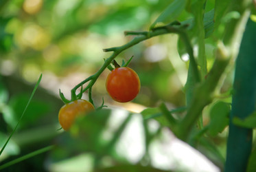 Similar image 21608669