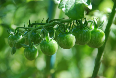 Similar image 21608670