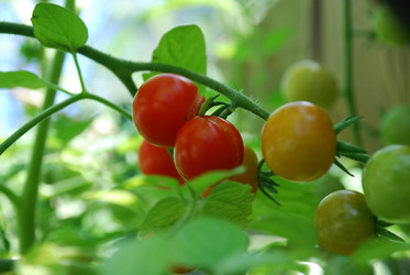 Similar image 21608671