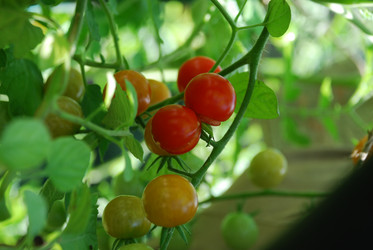 Similar image 21608672