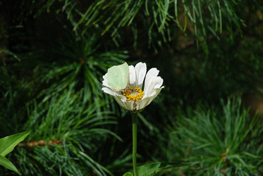 Similar image 21608673