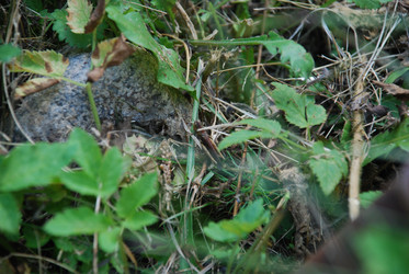 Similar image 21608674