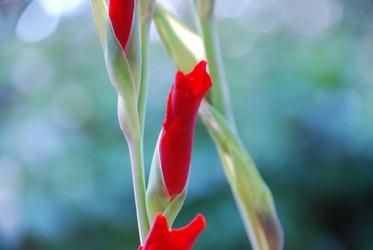 Similar image 21608675