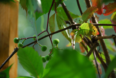 Similar image 21608679