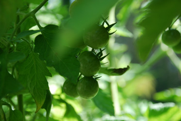 Similar image 21608680