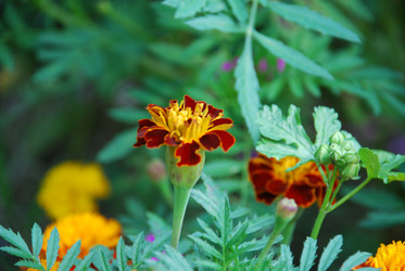 Similar image 21608682