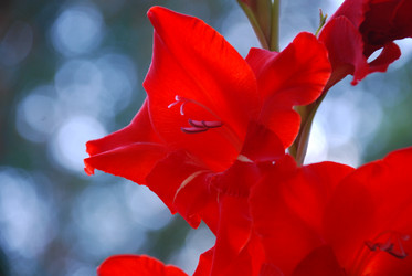 Similar image 21608683