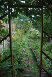 Similar image 21608684