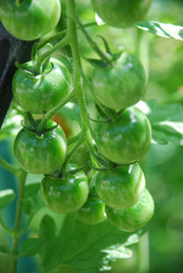 Similar image 21608686