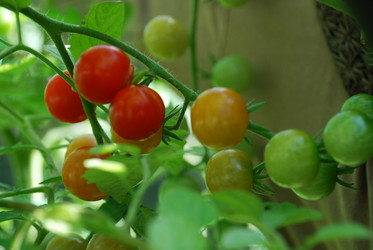 Similar image 21608687