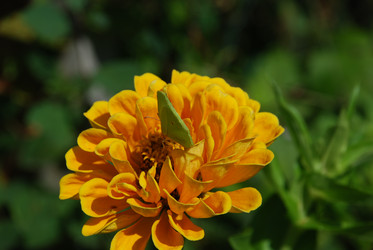 Similar image 21608688