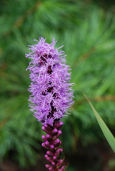 Similar image 21608691