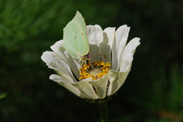 Similar image 21608796