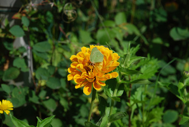 Similar image 21608798